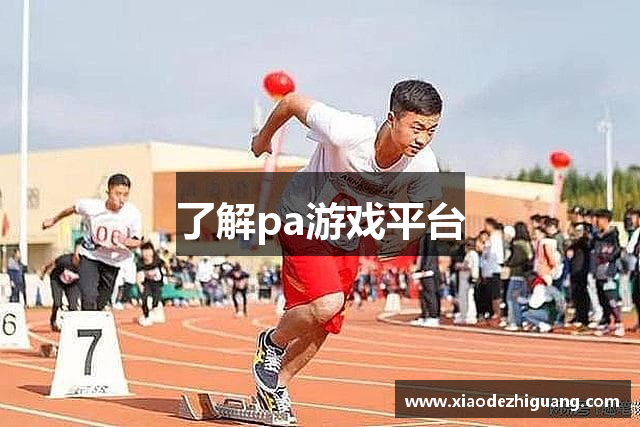 了解pa游戏平台